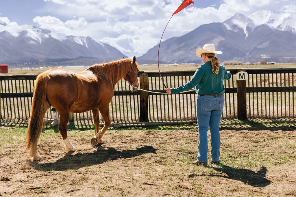 A cowgirl working on one of the groundwork exercises with a horse.