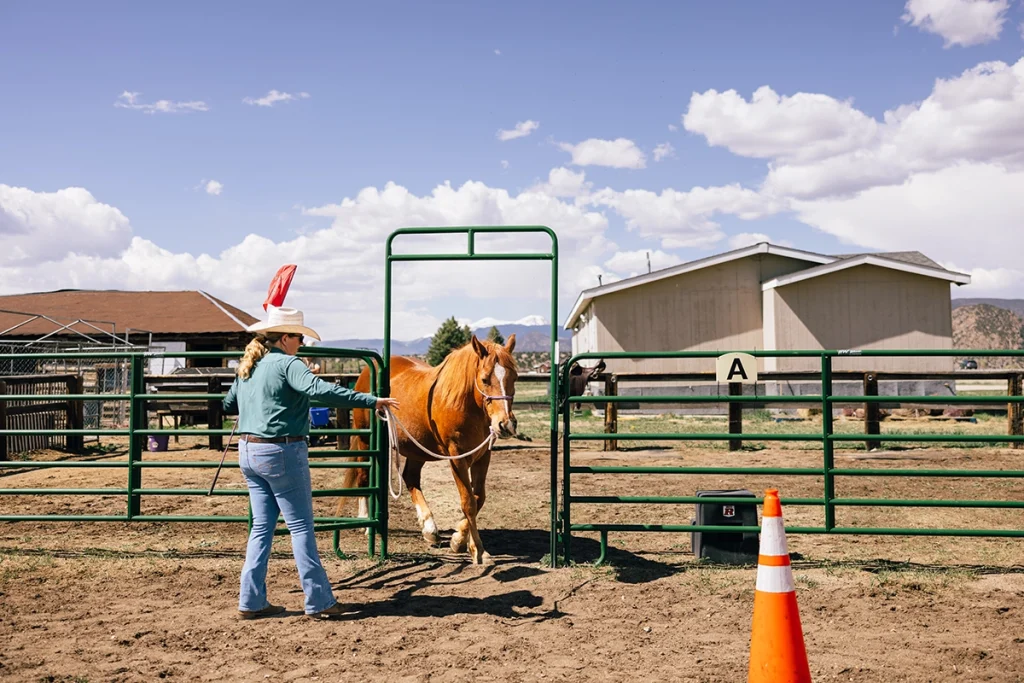 A cowgirl sends a horse through a gate.