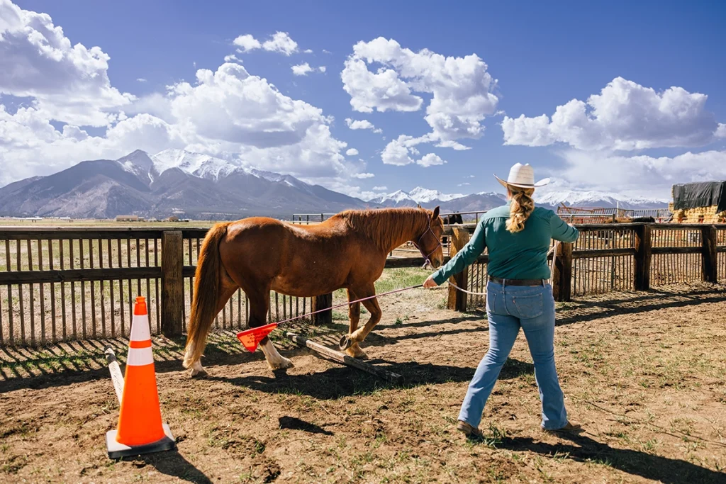 A cowgirl working on one of these groundwork exercises with a sorrel horse.
