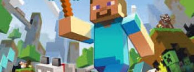 Cuanto Cuesta Un Server De Minecraft