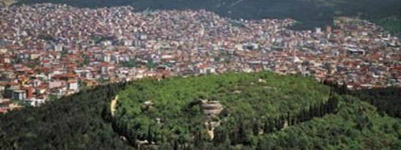 TEST SOBRE EL TEMA ''URBANIZACIÓN''