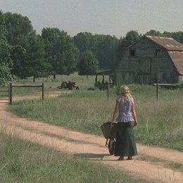 ¿Por qué los Greene guardaban caminantes en el granero? - ¿Cuánto sabes de the Walking Dead?