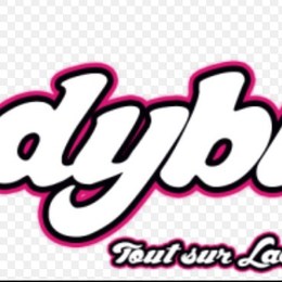 ¿Quién ha hecho el Ladyblog? - ¿Cuanto sabes sobre Ladybug?
