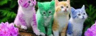 Preguntas y respuestas: que color eres