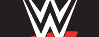 Preguntas y respuestas: test de WWE 2016