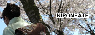 Preguntas y respuestas: ¿Cuánto sabes sobre Japón?