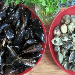 Identifica el marisco. - ¿Qué sabes de la comida de España?