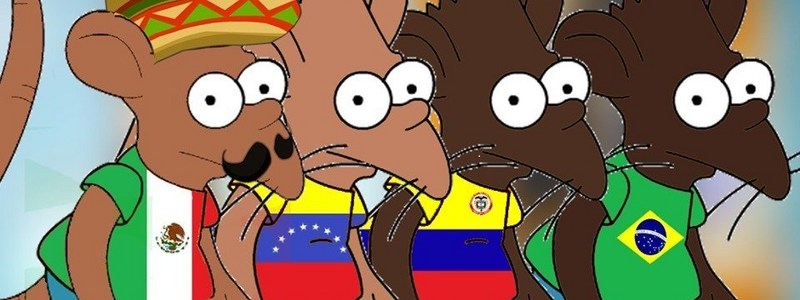 Test Que Tan Niño Rata Eres