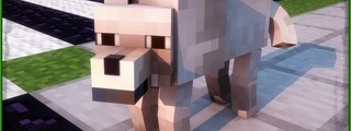 Preguntas y respuestas: aqui demostraras si sabes poco o mucho de minecaft.