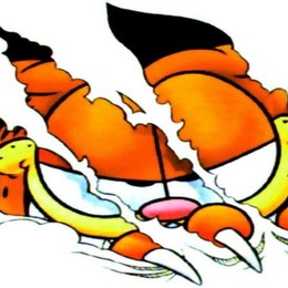 garfield es hombre o mujer - cuanto sabes de garfield