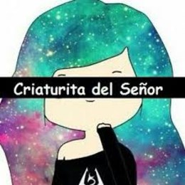 ¿cual es su color favorito? - cuanto sabes de elrubius 2017