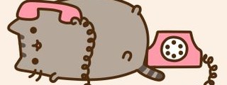 Preguntas y respuestas: Cuanto sabes de pusheen cat