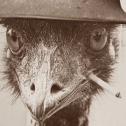 El ejército australiano utilizó esta arma para luchar contra los emú. - Prueba de armas de fuego