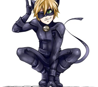 Resultado de ¿Qué Héroe/Villano eres de Miraculous Ladybug?