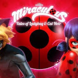 ¿Por que desecharon la idea de poner a Felix?  - ¿Cuanto sabes de Miraculous Ladybug?