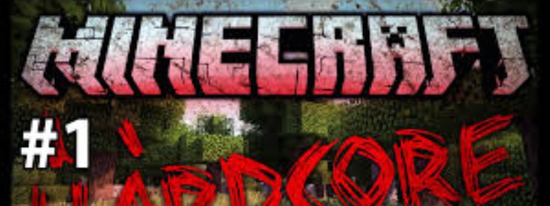 Cuanto Cuesta Un Server De Minecraft