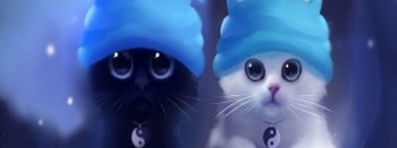 que color de gato eres