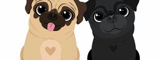 Preguntas y respuestas: el test de los amigos