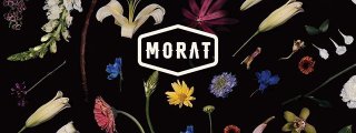 Preguntas y respuestas: Cuanto sabes sobre Morat