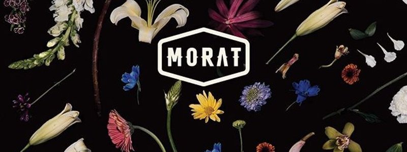 Cuanto sabes sobre Morat