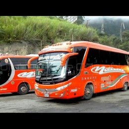 Cual es el único pueblo del Tolima donde la Flota La Macarena hace servicio?? - ¿Cuanto sabes sobre Colombia?
