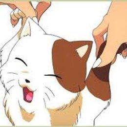 Como se llama el gato de Aome  - ¿Cuanto sabes de InuYasha?