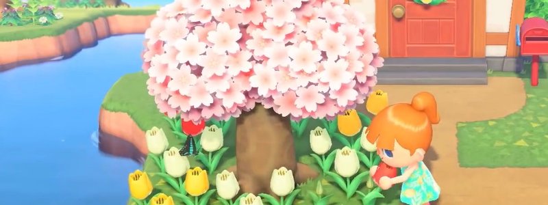 Cuanto sabes de Animal Crossing? Nivel: Medio :3