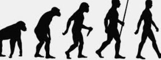 Preguntas y respuestas: Los humanos(edad)