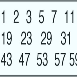 -¿Cual De Las Siguientes Opciones Es Un Numero Primo?- - --¿Como Es Tu Conocimiento Sobre Matematicas?--