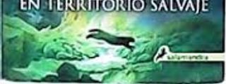 Preguntas y respuestas: ¿Cuanto sabes de los gatos guerreros en territorio salvaje?