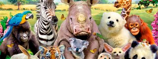 Preguntados: ¿cual es tu animal espiritual?