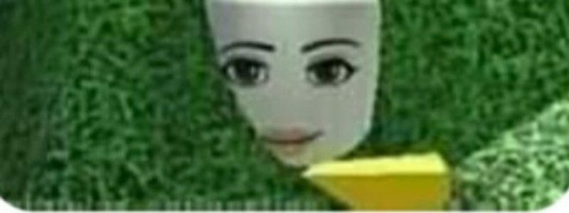 ¿que tanto te gusta roblox?