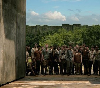 Resultado de A donde perteneces Maze Runner