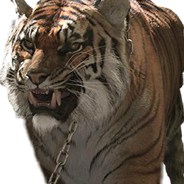 &iquest;como se llama el tigre? - cuanto sabes de the walking dead