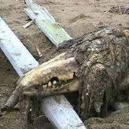 ESTE SCP QUE CATEGORIA ES  - CUANTO SABE DE SCP CONTAIMEN BREACH 