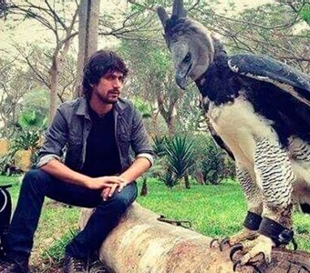 Resultado de QUE RAPAZ ERES