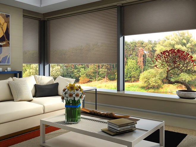 How Much Do Motorized Curtains Cost?