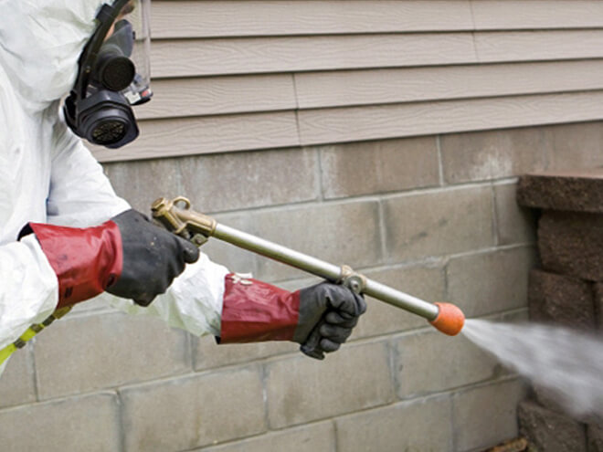 Termite Control Cost