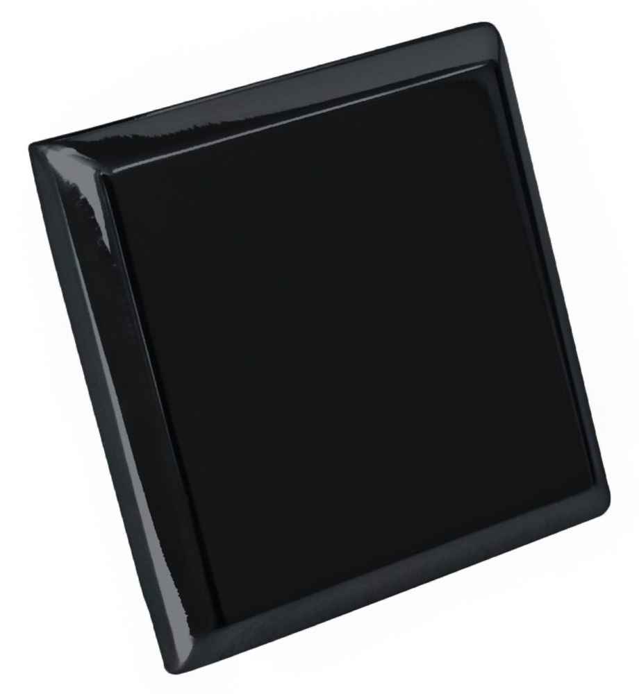 1.2-in. x 1.2-in. Stainless Steel  Cabinet Knob In Black