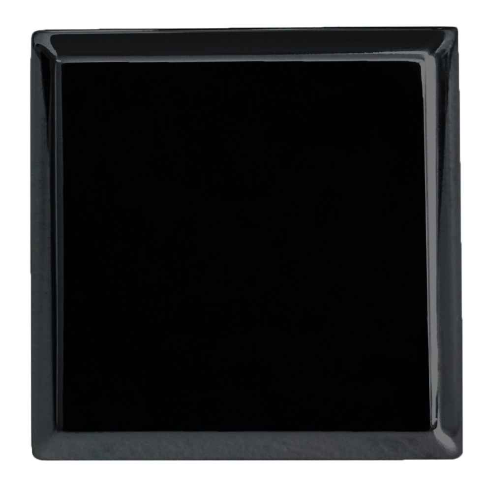 1.2-in. x 1.2-in. Stainless Steel  Cabinet Knob In Black