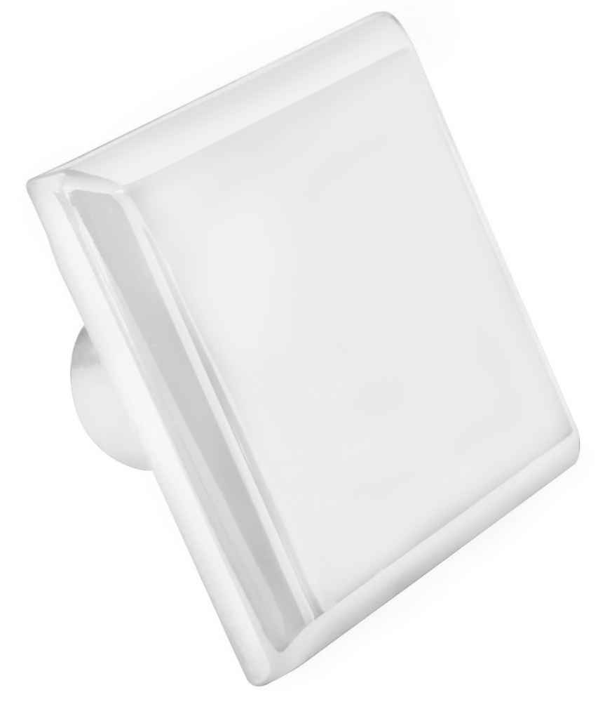 1.2-in. x 1.2-in. Stainless Steel  Cabinet Knob In White