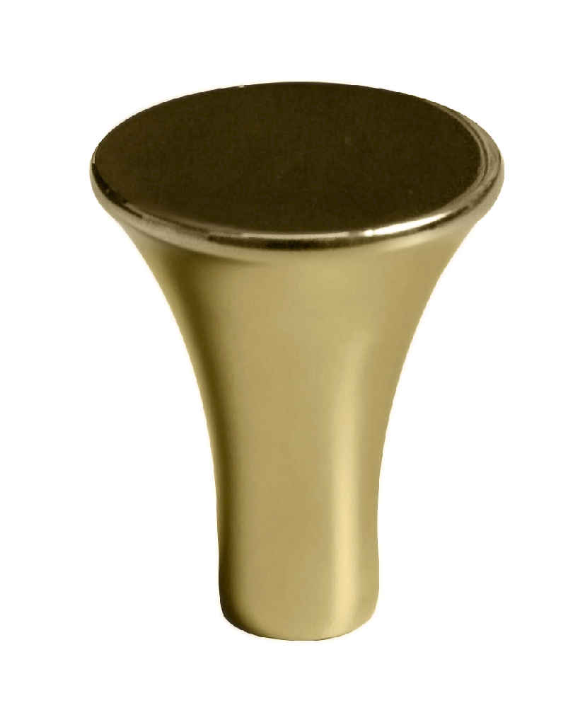 1-in. x 1-in. Stainless Steel  Cabinet Knob In Gold