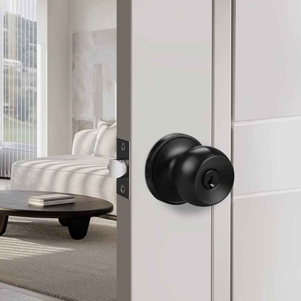 3-in. x 0.03-in. Stainless Steel Door Door Lock In Black