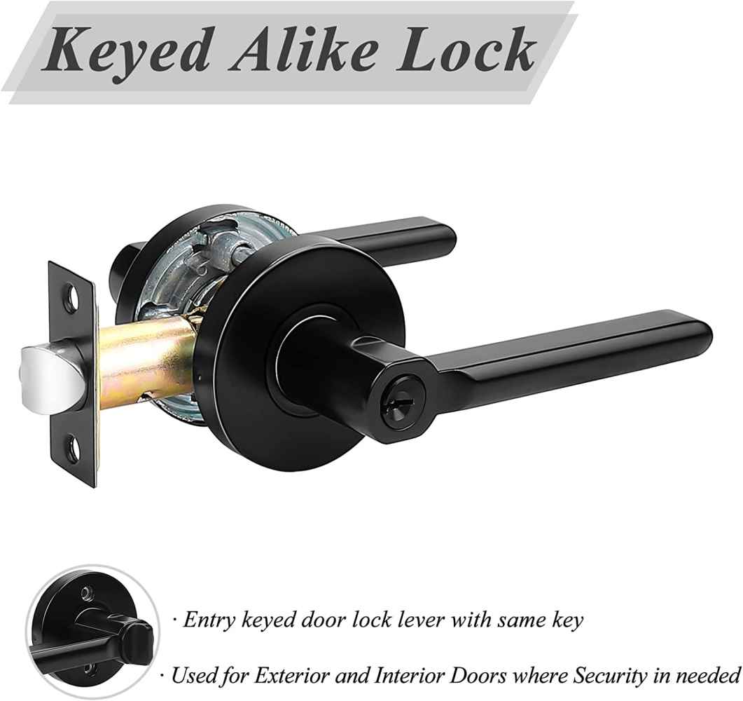 2.5-in. x 0.03-in. Stainless Steel Door Door Lock In Black