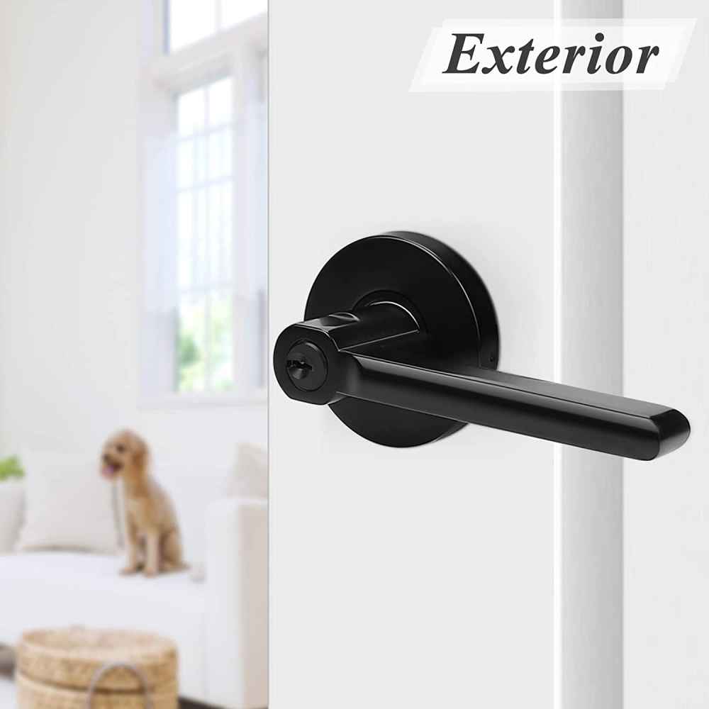 2.5-in. x 0.03-in. Stainless Steel Door Door Lock In Black