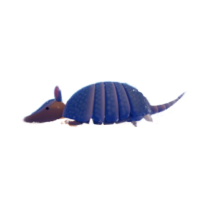 armadillo armadillo
