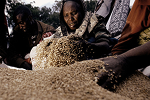 collective generosity