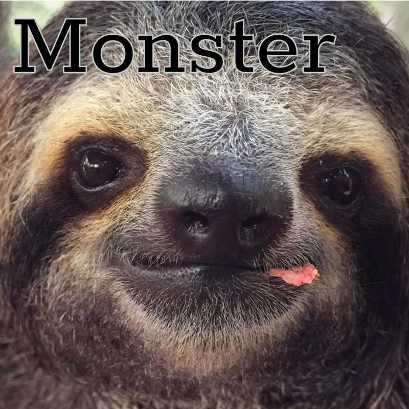 The Sloth Institute of Costa Rica - Adoption Campaign