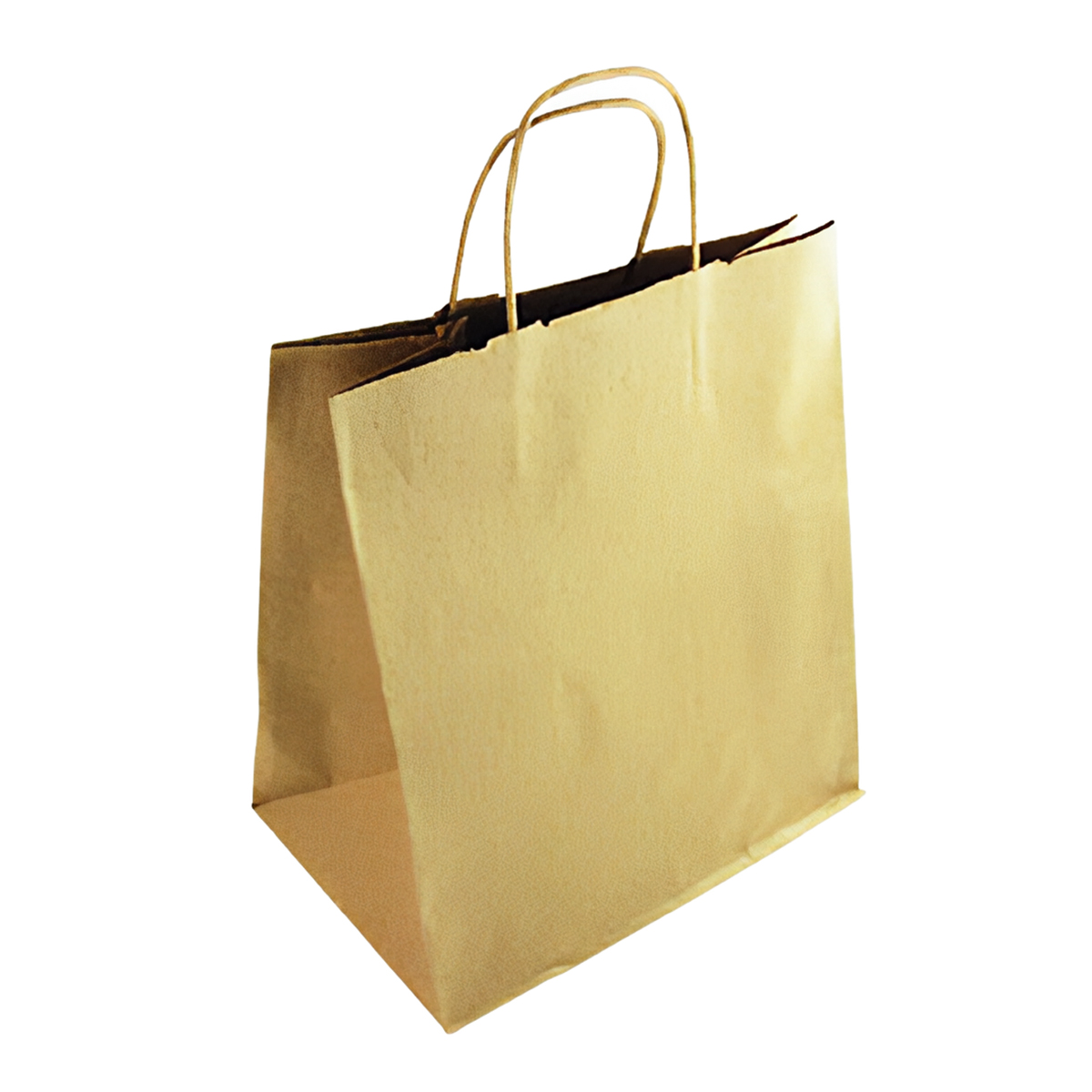 Victoria Bay Shopper Bag Medium (MED) 10X6.75X12 IN Paper #81