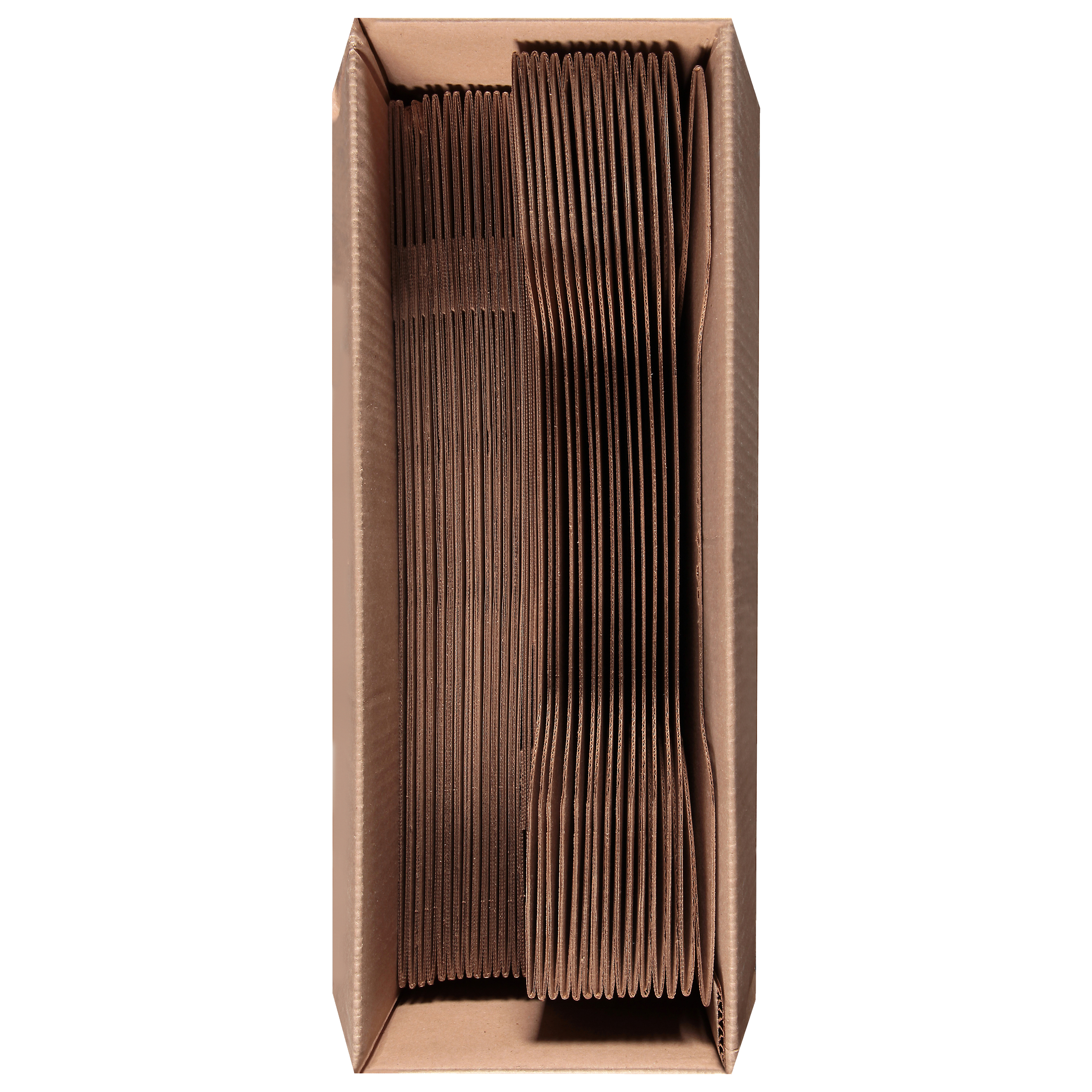 Catering Box Serving Tray Large (LG) 20.25X13.75X4.75 IN
